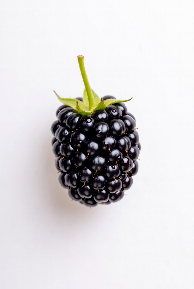 Blackberry preview from the Minus Zero item library