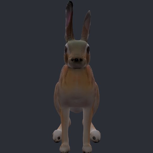 A Snowshoe Hare Rabbit With Very Large H preview from the Minus Zero item library